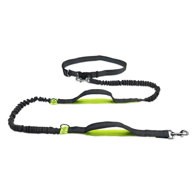 Laisse à enrouleur manuelle pour chiens – Laisse de course pour grands chiens avec système de portage confortable