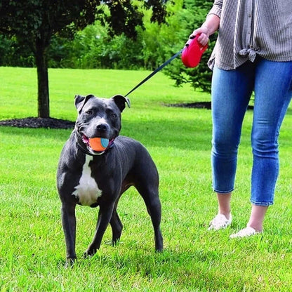Interaktiver Hundespielball – Elastischer Kauball zur Zahnpflege mit Geräuscheffekt