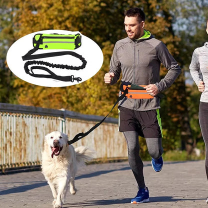Guinzaglio per cani a mano libera – Guinzaglio riflettente con tasca in vita e cintura elastica per passeggiate e corsa confortevoli
