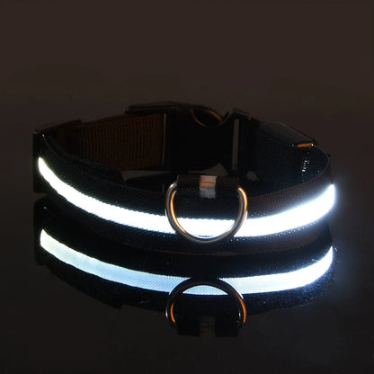 Leuchtende LED-Hundeleine – Sicherheits-Nylon-Leine mit Glow-in-the-Dark Effekt