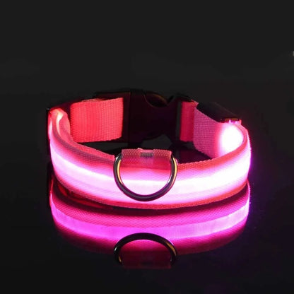 Leuchtende LED-Hundeleine – Sicherheits-Nylon-Halsband mit Glow-in-the-Dark Effekt