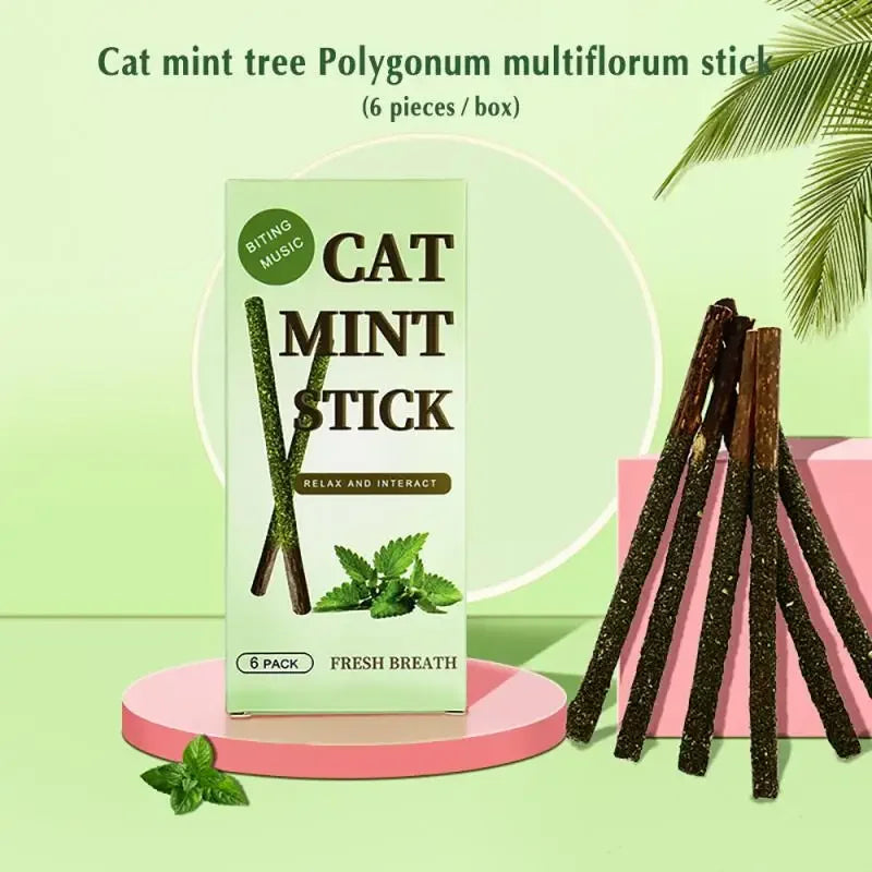 6er-Set natürliche Matatabi-Sticks mit Katzenminze – ideal zum Kauen, Zahnpflege und spielerischen Verwöhnen deiner Katze.