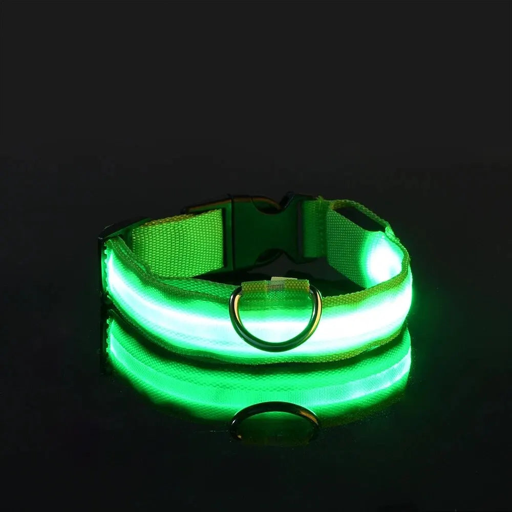 Leuchtende LED-Hundeleine – Sicherheits-Nylon-Halsband mit Glow-in-the-Dark Effekt