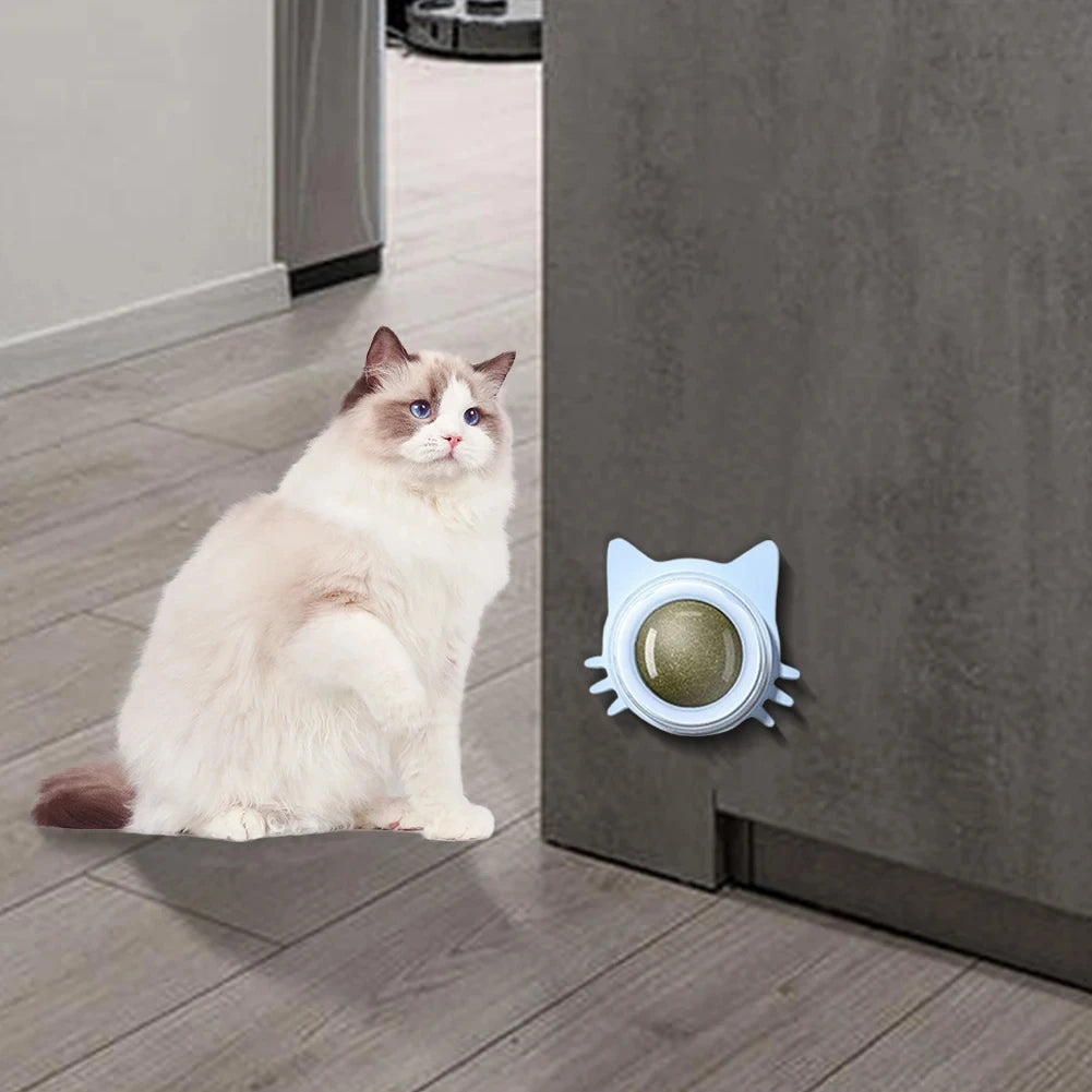 Drehbares Katzenminze-Spielzeug – Schleck- und Beißspielzeug zur Zahnpflege für Wohnungskatzen