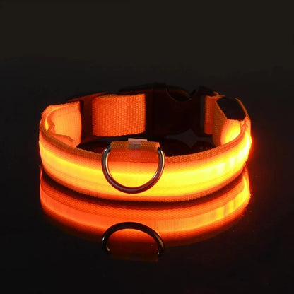 Leuchtende LED-Hundeleine – Sicherheits-Nylon-Halsband mit Glow-in-the-Dark Effekt
