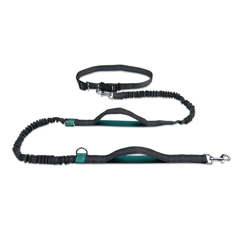 Laisse à enrouleur manuelle pour chiens – Laisse de course pour grands chiens avec système de portage confortable