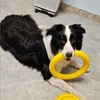 Schwimmfähiger Hundering aus robustem Material – bissfest, ideal für Zieh- & Wurfspiele, Training und aktive Hunde mit starkem Kauverhalten.