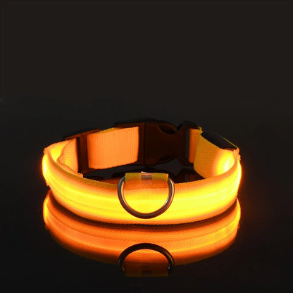 Leuchtende LED-Hundeleine – Sicherheits-Nylon-Leine mit Glow-in-the-Dark Effekt