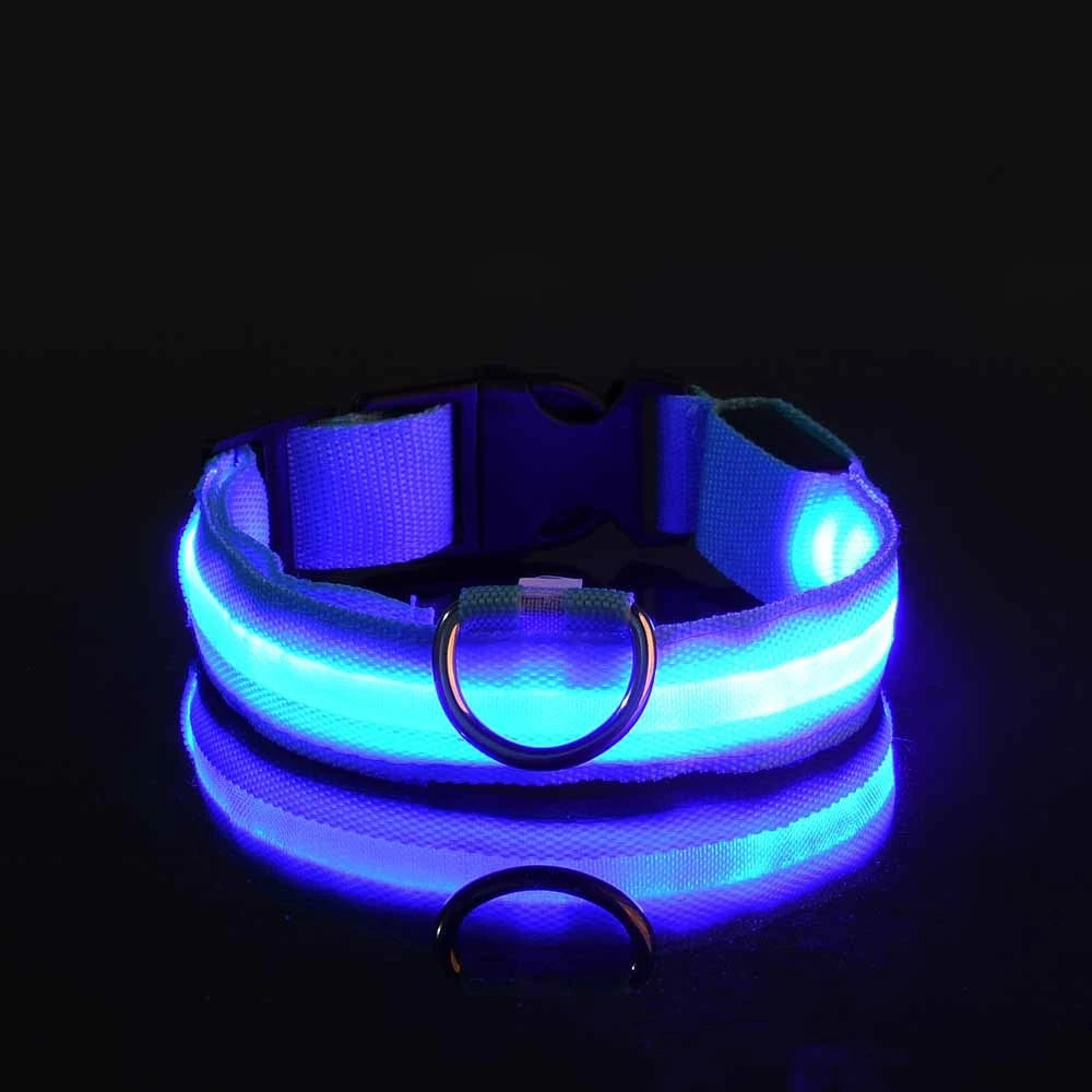 Leuchtende LED-Hundeleine – Sicherheits-Nylon-Leine mit Glow-in-the-Dark Effekt