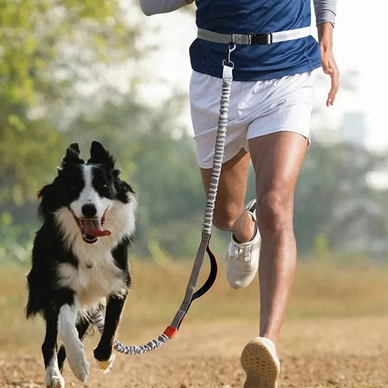 Laisse à enrouleur manuelle pour chiens – Laisse de course pour grands chiens avec système de portage confortable