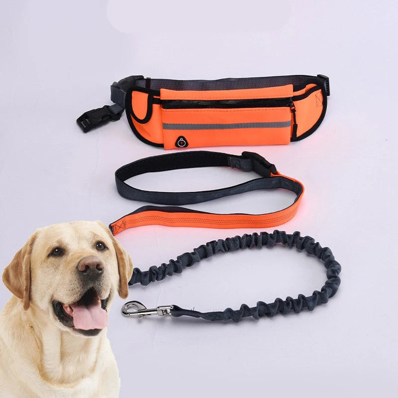 Guinzaglio per cani a mano libera – Guinzaglio riflettente con tasca in vita e cintura elastica per passeggiate e corsa confortevoli