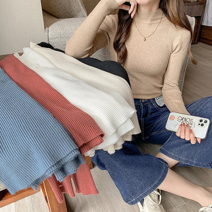 Fitted knit sweater with stand-up collar – simple, cozy, and perfect for stylish looks on cool days.