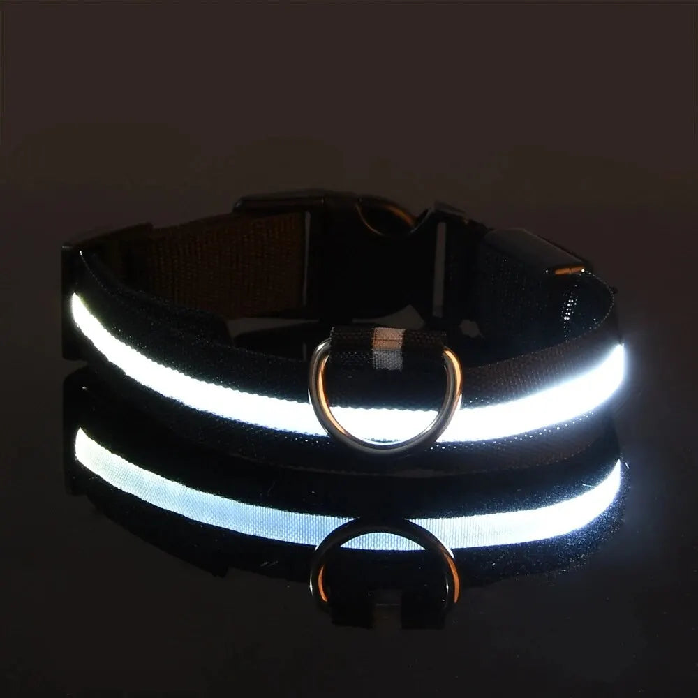 Leuchtende LED-Hundeleine – Sicherheits-Nylon-Halsband mit Glow-in-the-Dark Effekt