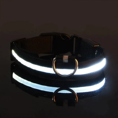 Leuchtende LED-Hundeleine – Sicherheits-Nylon-Halsband mit Glow-in-the-Dark Effekt
