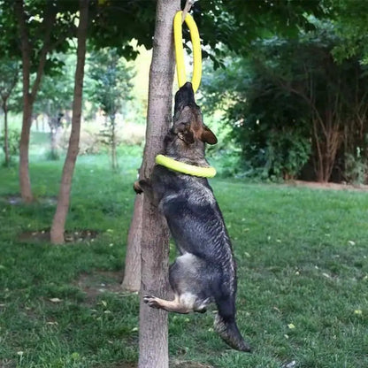 Schwimmfähiger Hundering aus robustem Material – bissfest, ideal für Zieh- & Wurfspiele, Training und aktive Hunde mit starkem Kauverhalten.
