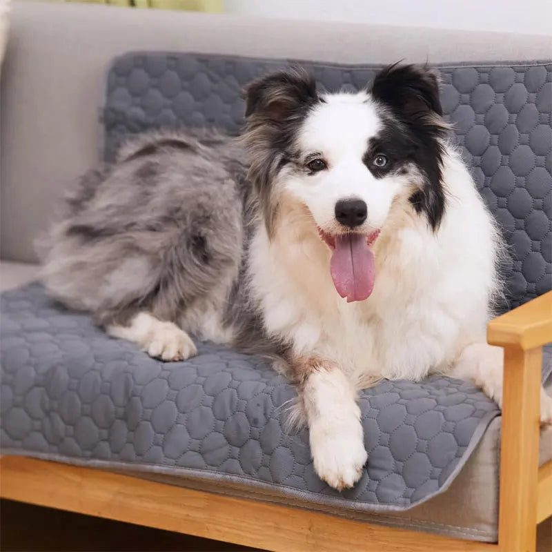 Wiederverwendbare Hundematte – Wasserdichte, saugfähige Trainingsunterlage für Hunde und Katzen