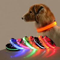 Leuchtende LED-Hundeleine – Sicherheits-Nylon-Leine mit Glow-in-the-Dark Effekt