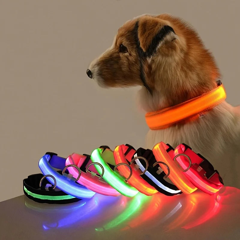 Leuchtende LED-Hundeleine – Sicherheits-Nylon-Leine mit Glow-in-the-Dark Effekt