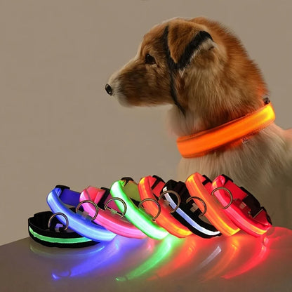 Leuchtende LED-Hundeleine – Sicherheits-Nylon-Leine mit Glow-in-the-Dark Effekt