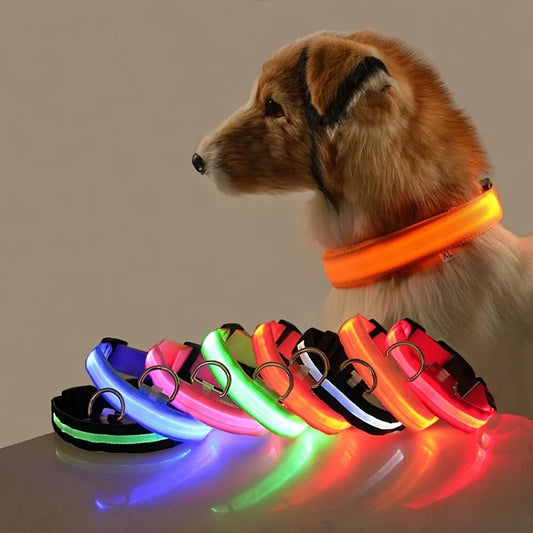 Leuchtende LED-Hundeleine – Sicherheits-Nylon-Leine mit Glow-in-the-Dark Effekt