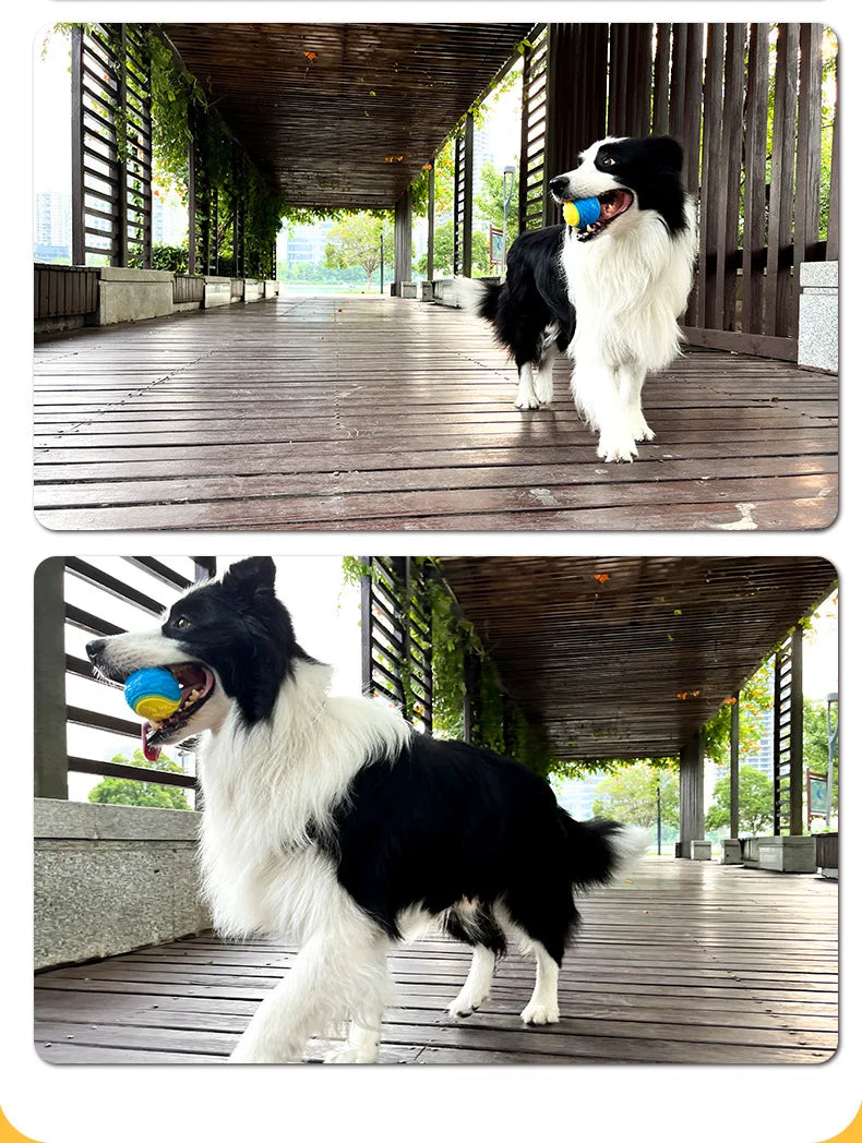 Interaktiver Hundespielball – Elastischer Kauball zur Zahnpflege mit Geräuscheffekt