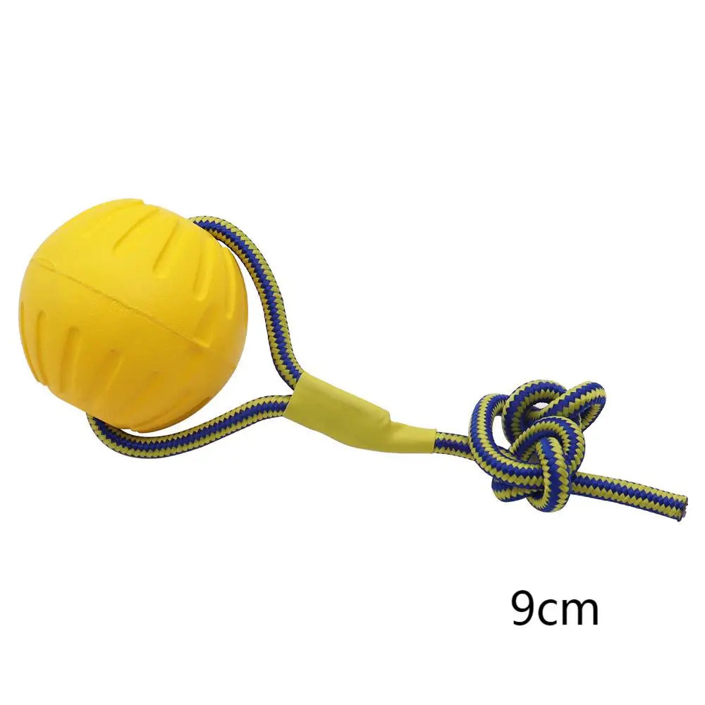 Schwimmfähiger Hundering aus robustem Material – bissfest, ideal für Zieh- & Wurfspiele, Training und aktive Hunde mit starkem Kauverhalten.
