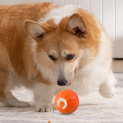 Automatischer Hunde-Spielball mit USB-Ladung – springt & rotiert interaktiv, ideal für spielerische Bewegung und Welpenbeschäftigung.