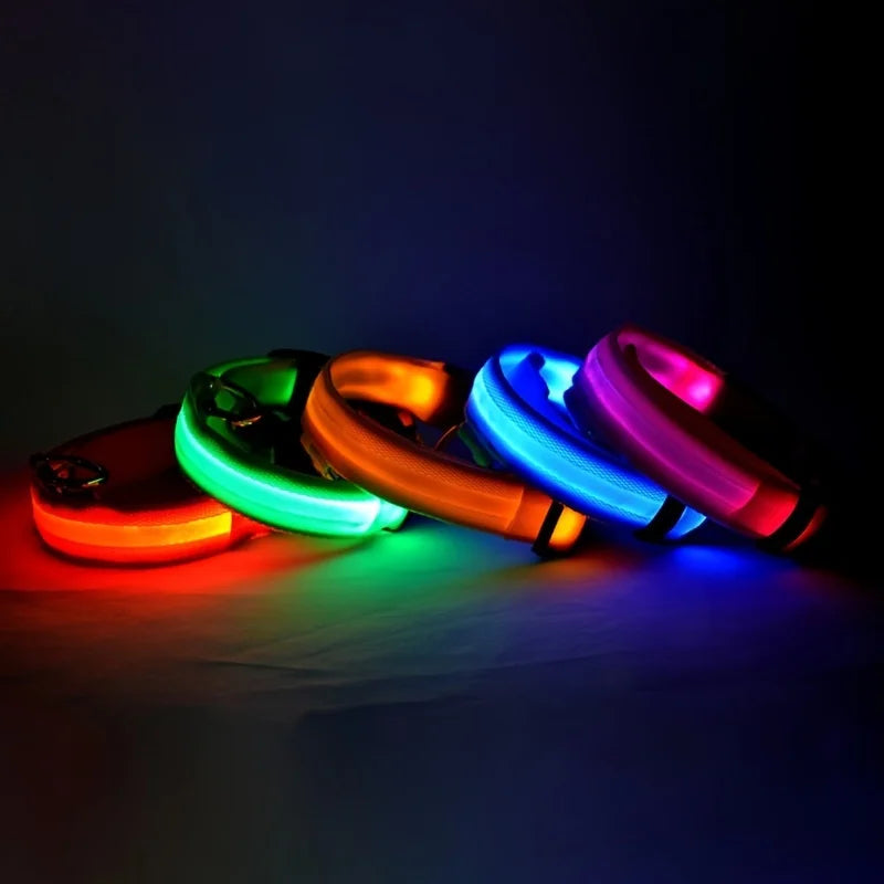 Leuchtende LED-Hundeleine – Sicherheits-Nylon-Leine mit Glow-in-the-Dark Effekt