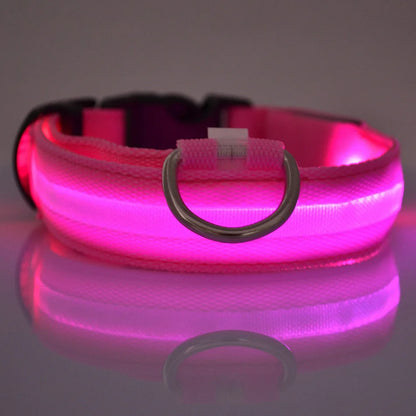 Leuchtende LED-Hundeleine – Sicherheits-Nylon-Leine mit Glow-in-the-Dark Effekt