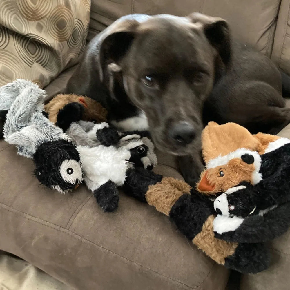 Lustiges, stopfungsfreies Hundespielzeug mit Quietscher – robust, weich und ideal zum Kauen, Spielen und Toben ohne Füllmaterial.