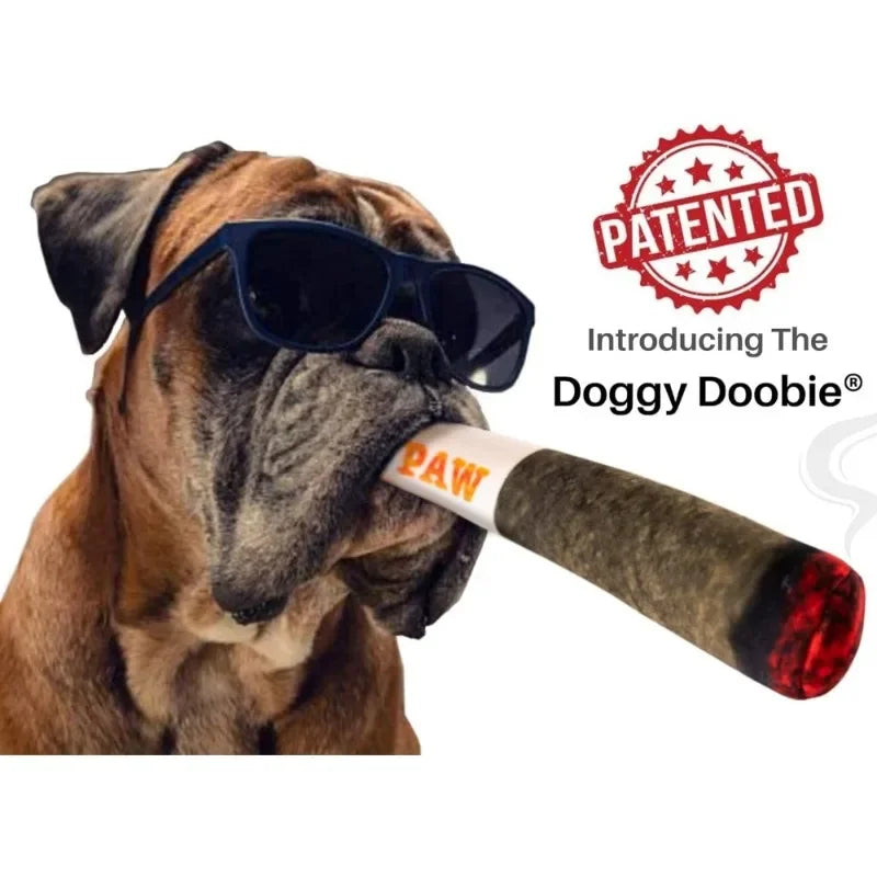 Weiches Spielzeug für kleine, mittlere und große Hunde