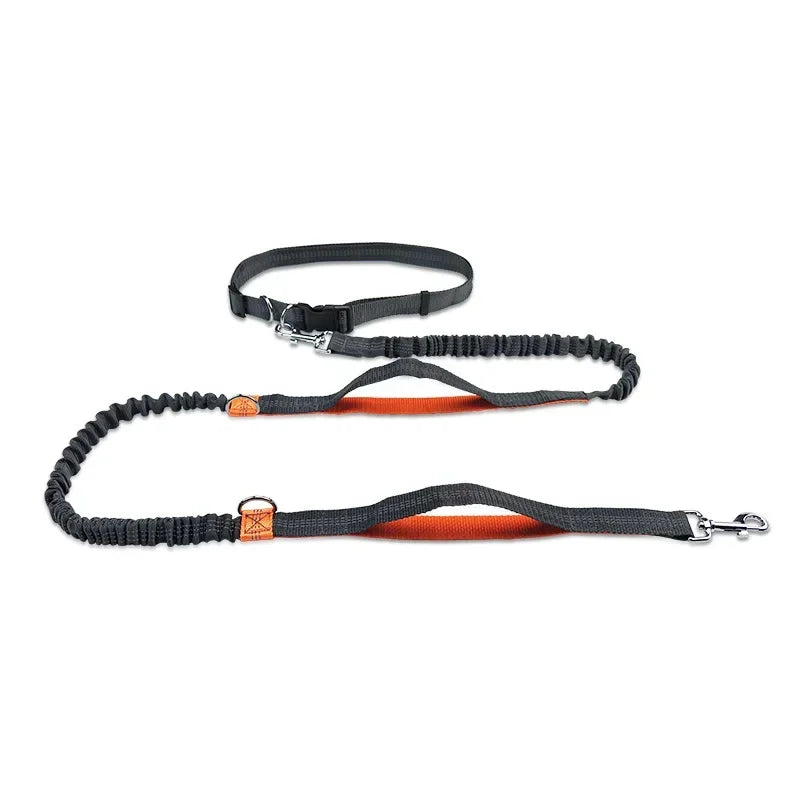 Laisse à enrouleur manuelle pour chiens – Laisse de course pour grands chiens avec système de portage confortable