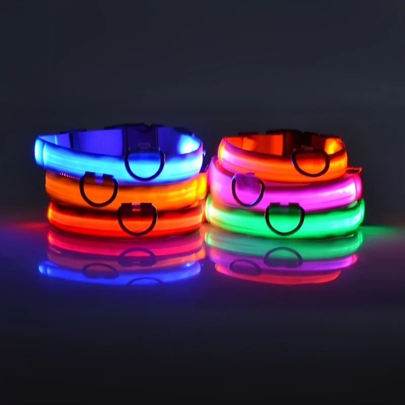 Leuchtende LED-Hundeleine – Sicherheits-Nylon-Leine mit Glow-in-the-Dark Effekt