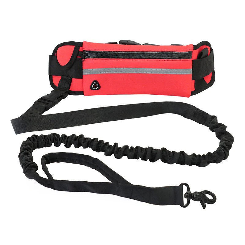 Guinzaglio per cani a mano libera – Guinzaglio riflettente con tasca in vita e cintura elastica per passeggiate e corsa confortevoli