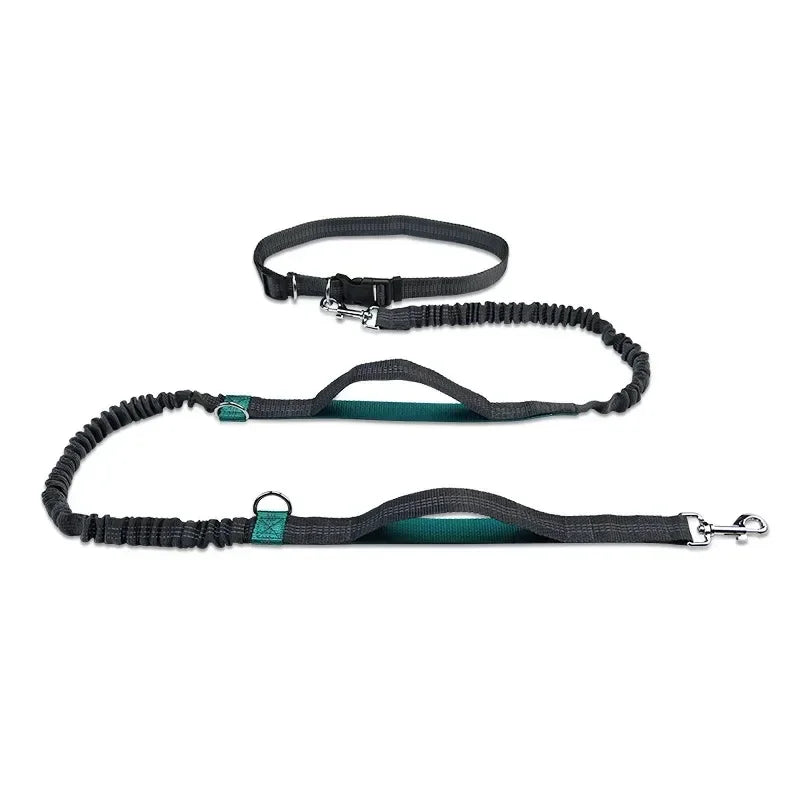 Laisse à enrouleur manuelle pour chiens – Laisse de course pour grands chiens avec système de portage confortable