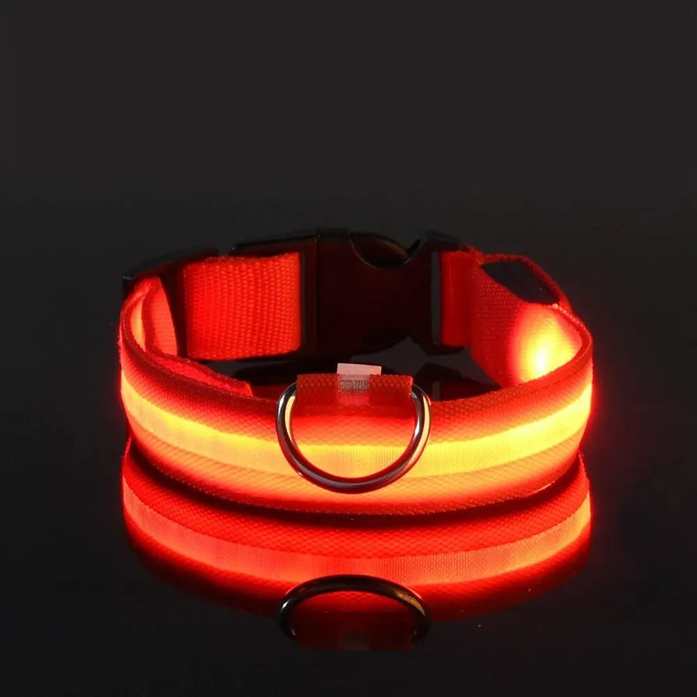 Leuchtende LED-Hundeleine – Sicherheits-Nylon-Halsband mit Glow-in-the-Dark Effekt