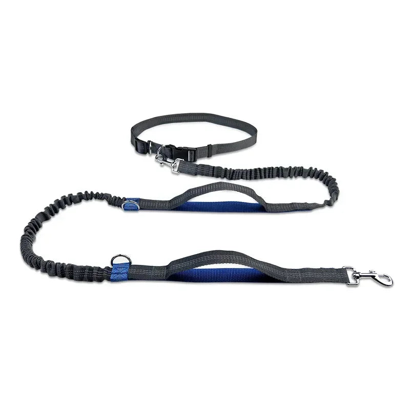 Laisse à enrouleur manuelle pour chiens – Laisse de course pour grands chiens avec système de portage confortable