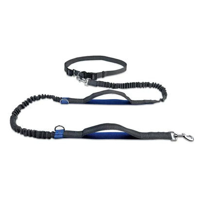 Laisse à enrouleur manuelle pour chiens – Laisse de course pour grands chiens avec système de portage confortable