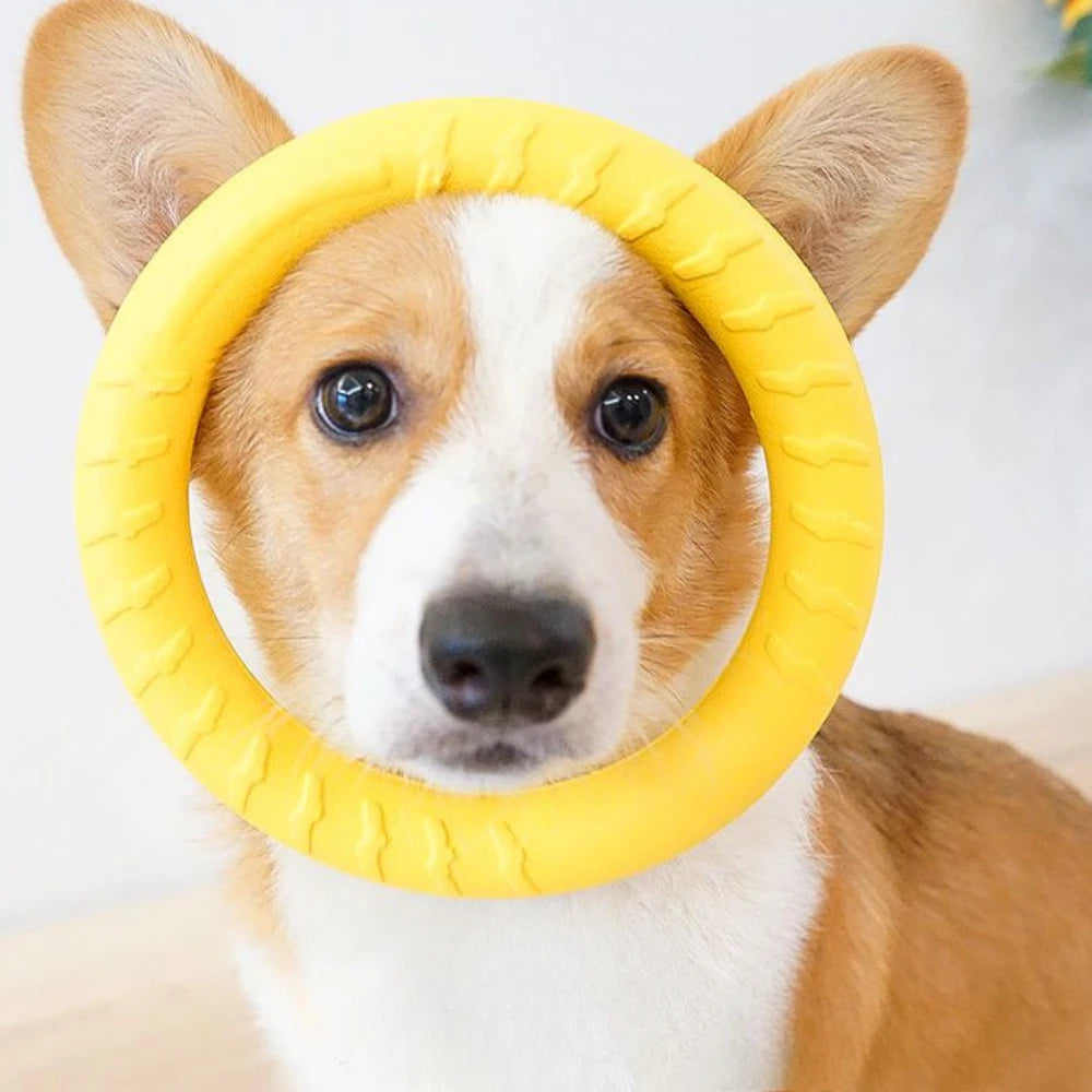Schwimmfähiger Hundering aus robustem Material – bissfest, ideal für Zieh- & Wurfspiele, Training und aktive Hunde mit starkem Kauverhalten.