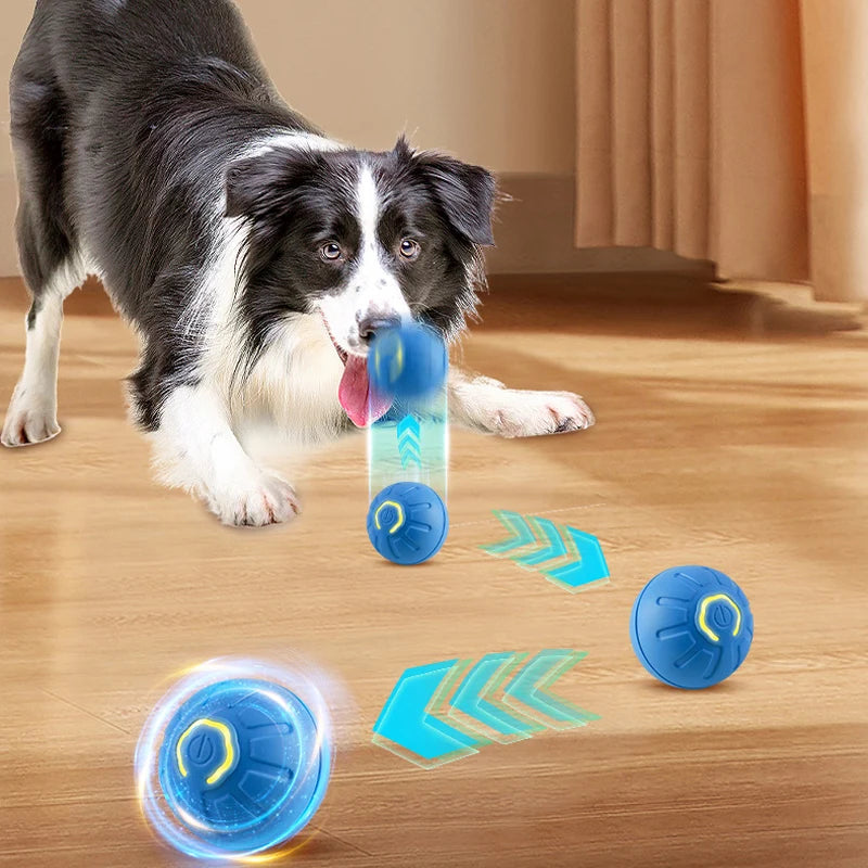 Automatischer Hunde-Spielball mit USB-Ladung – springt & rotiert interaktiv, ideal für spielerische Bewegung und Welpenbeschäftigung.