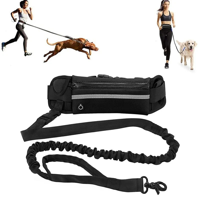 Guinzaglio per cani a mano libera – Guinzaglio riflettente con tasca in vita e cintura elastica per passeggiate e corsa confortevoli