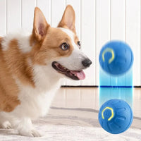 Automatischer Hunde-Spielball mit USB-Ladung – springt & rotiert interaktiv, ideal für spielerische Bewegung und Welpenbeschäftigung.