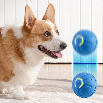 Automatischer Hunde-Spielball mit USB-Ladung – springt & rotiert interaktiv, ideal für spielerische Bewegung und Welpenbeschäftigung.