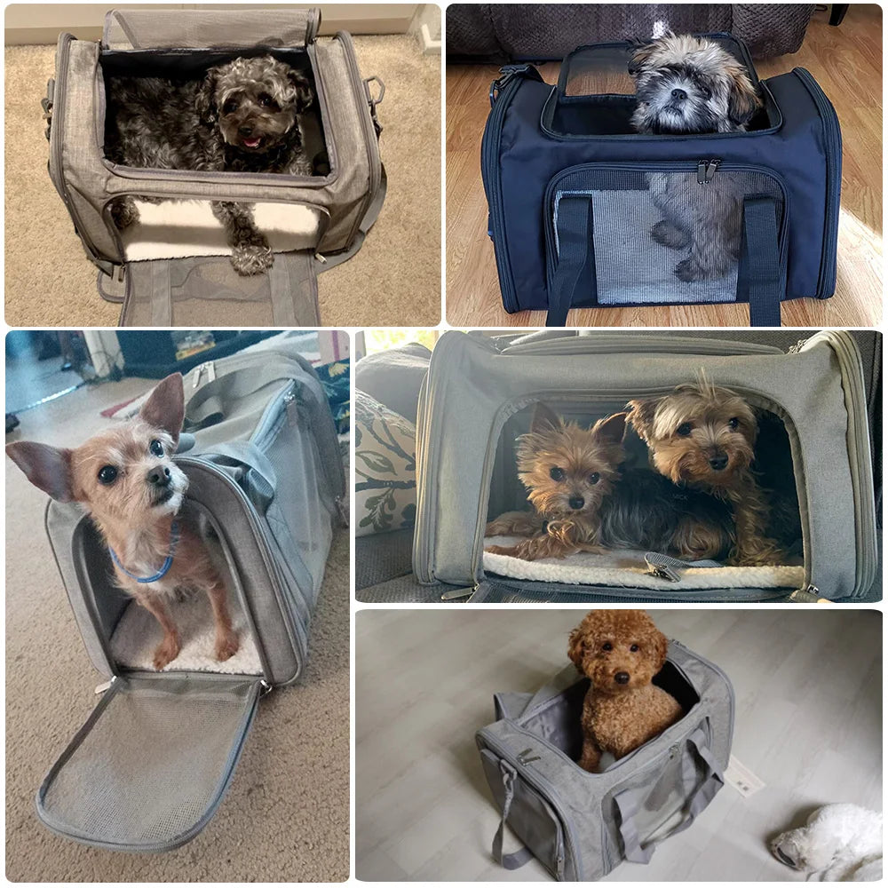 Haustier-Tragetasche – Weicher, airline-tauglicher Rucksack für Hunde und Katzen