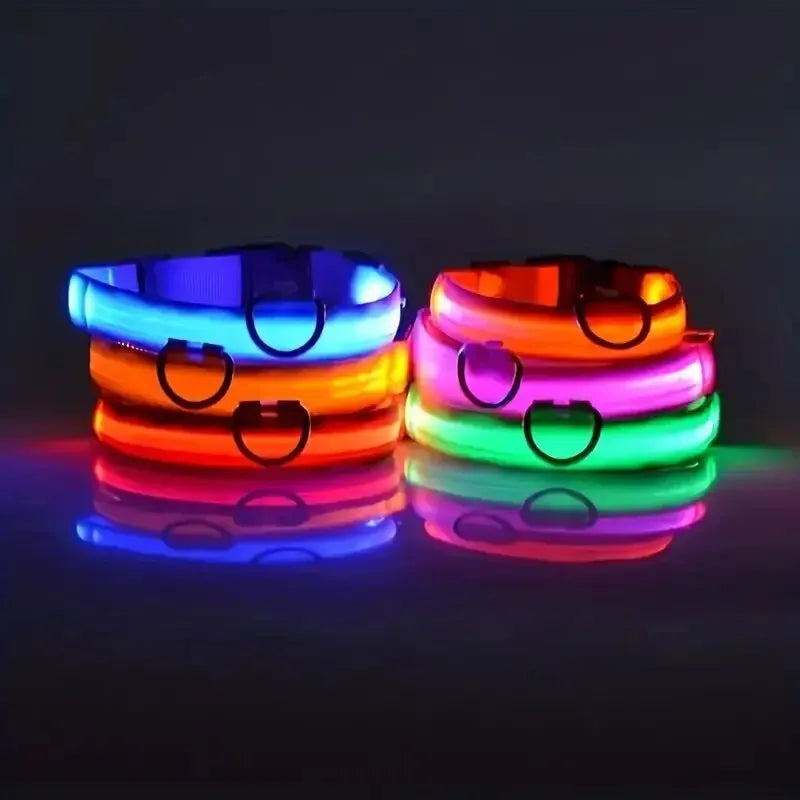 Leuchtende LED-Hundeleine – Sicherheits-Nylon-Halsband mit Glow-in-the-Dark Effekt