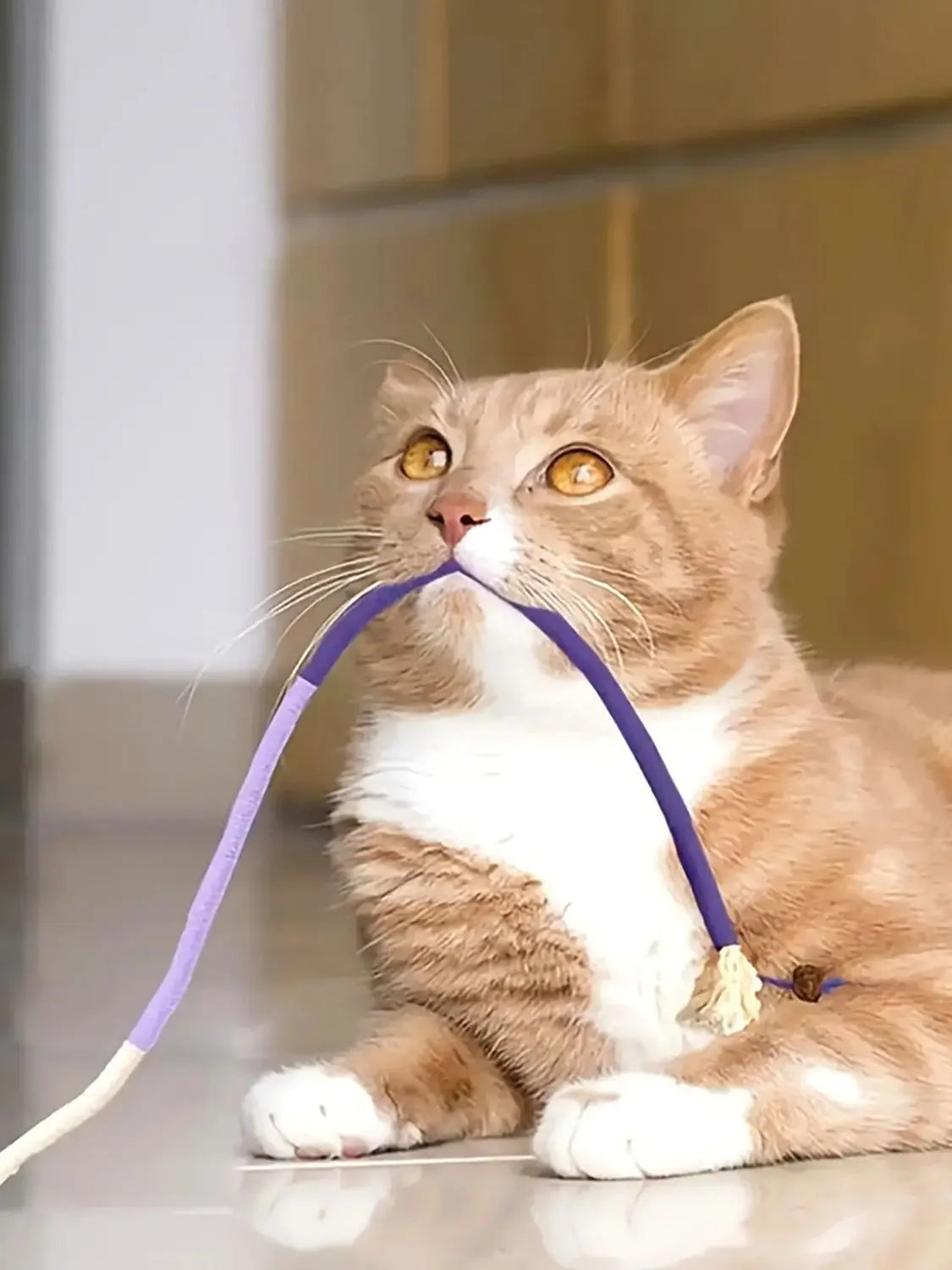 Kauspielzeug für Katzen aus robustem Seil – ideal zum Spielen, Beißen und zur Zahnpflege, sorgt für aktive Beschäftigung.